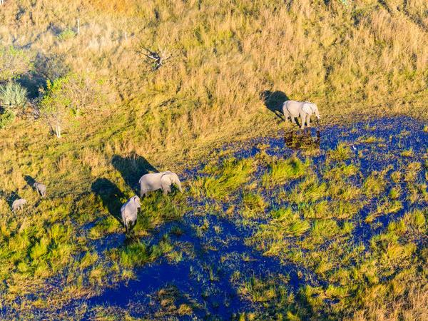 Botswana adventure holiday