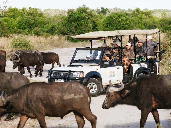 Botswana adventure holiday
