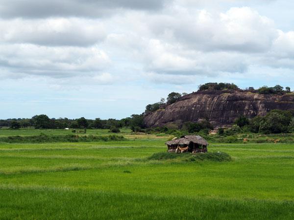 Sri Lanka coast to coast cycling vacation