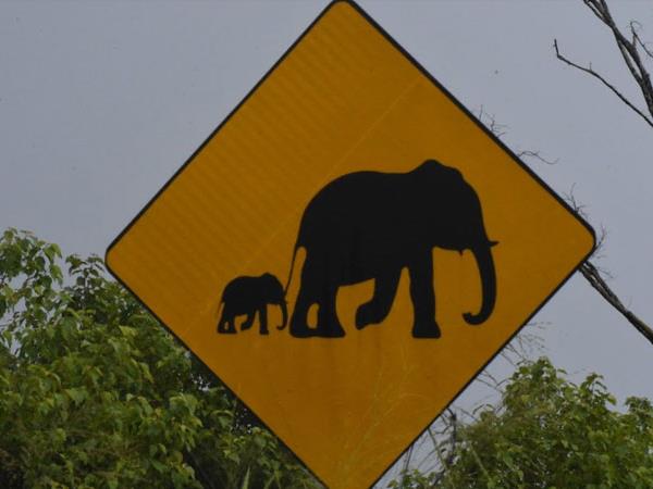 Sri Lanka coast to coast cycling vacation