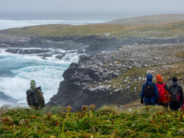 New Zealand wildest Island cruise, inc Stewart Island