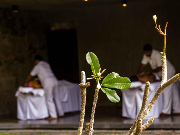 Sri Lanka vacation, culture & relaxation