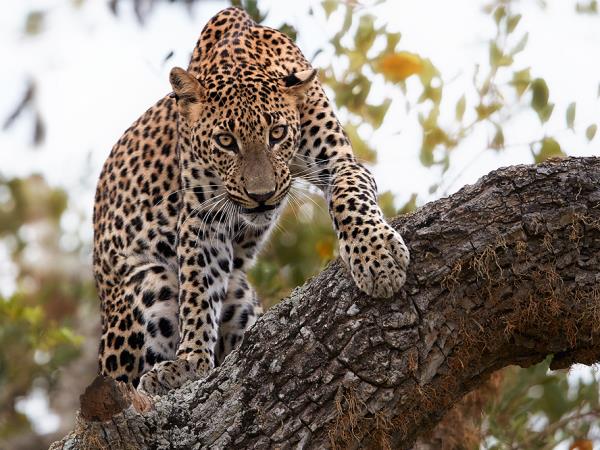 Sri Lanka 10 day tour