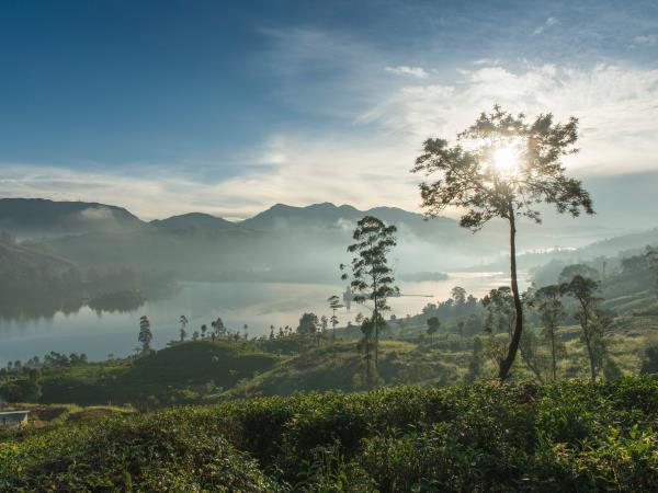 Wellness and spa vcation in Sri Lanka