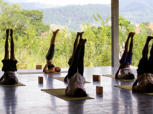 Wellness and spa vcation in Sri Lanka