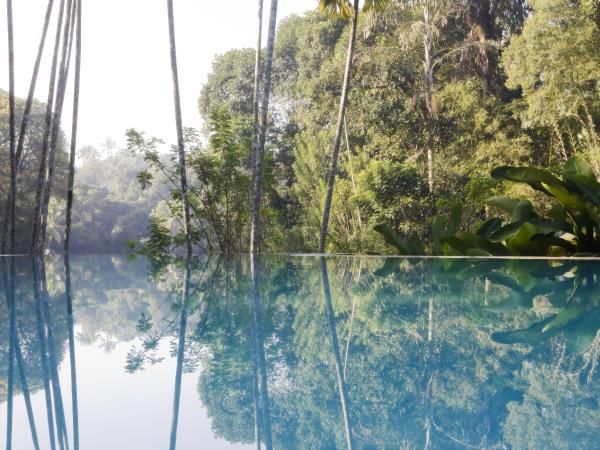Sri Lanka culture and wildlife holiday