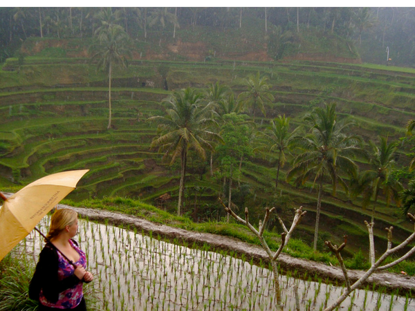 Highlights of Indonesia small group tour