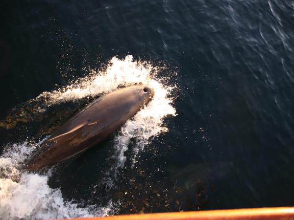 Scotland private charter sailing vacations