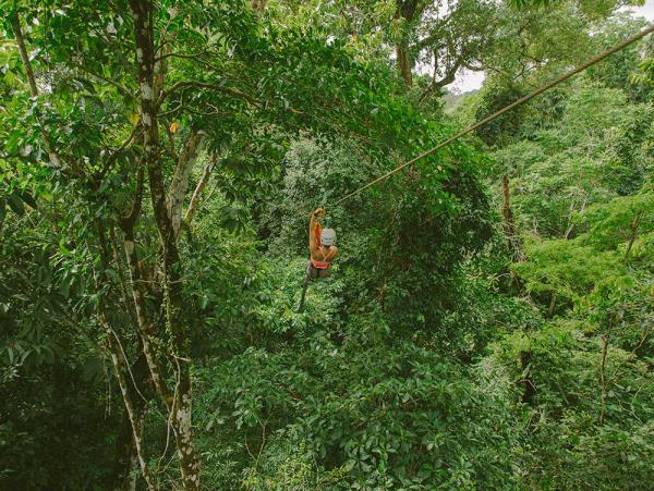 Tailor made Costa Rica wildlife vacation