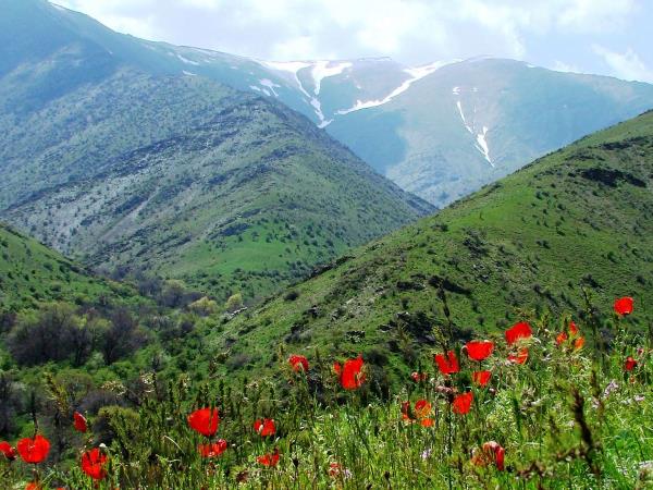 Uzbekistan small group vacation
