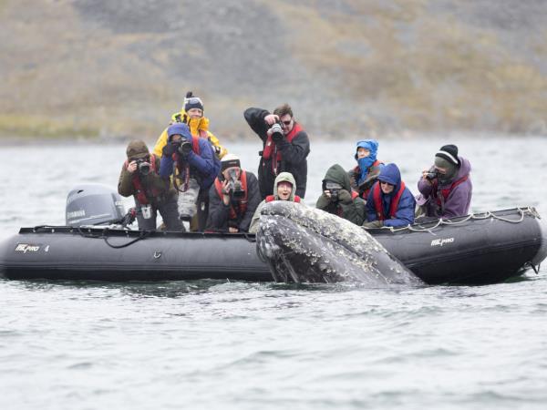 North East passage cruise, Russia