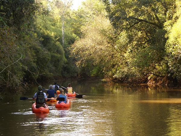 Paraguay Missiones and Iguazu tour