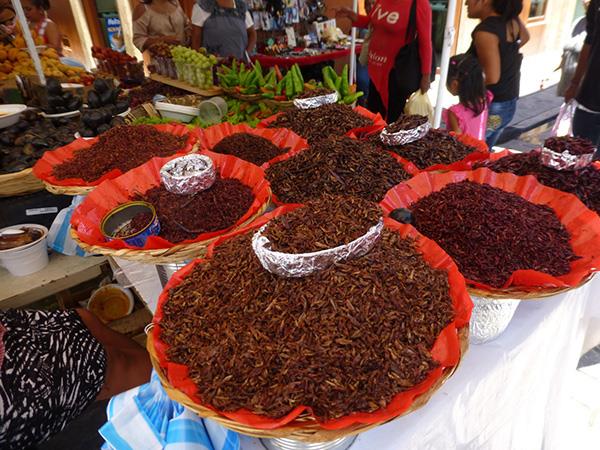 Mexican food vacation, tailor made