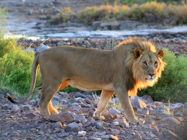 Namibia camping safari