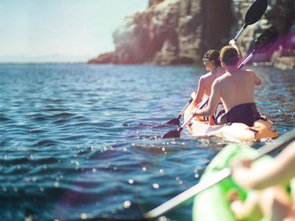 Mexico wildlife and sea kayaking expedition