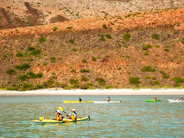 Mexico wildlife and sea kayaking expedition