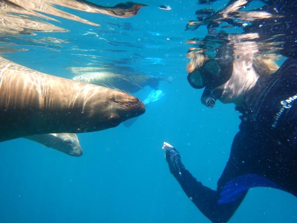Mexico multi-activity and whale adventure