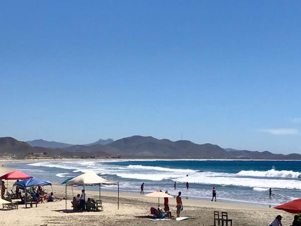 Mexico multi-activity and whale adventure