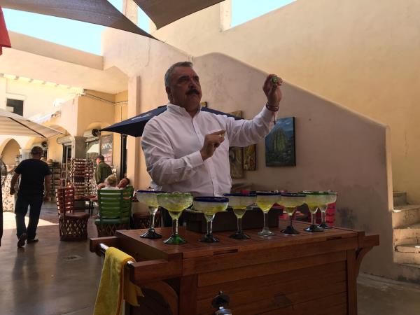 Mexico multi-activity and whale adventure