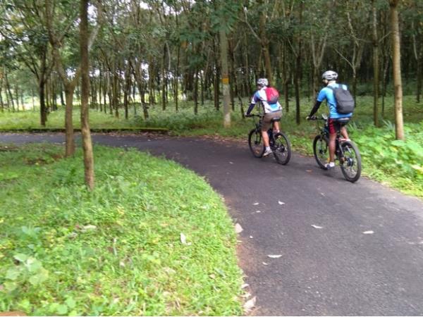 E-Bike Tour in Kerala