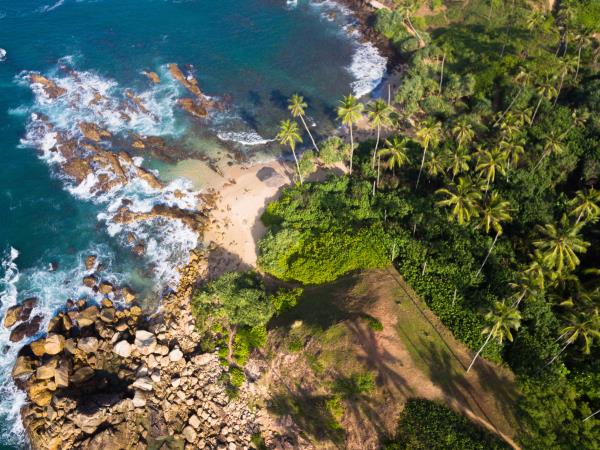 Luxury Tour in Sri Lanka