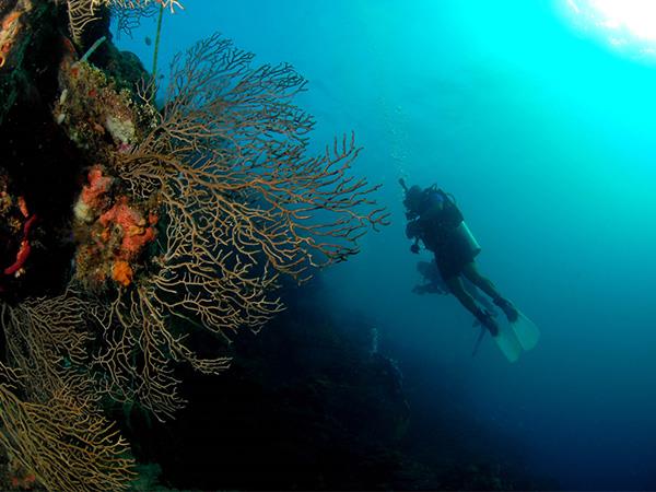 Honduras tailor made vacation
