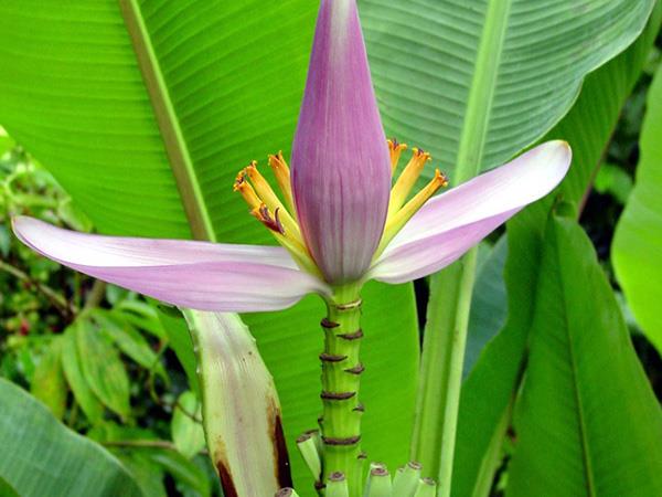 Honduras tailor made vacation
