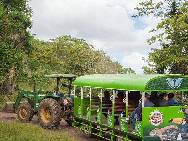 Honduras tailor made vacation