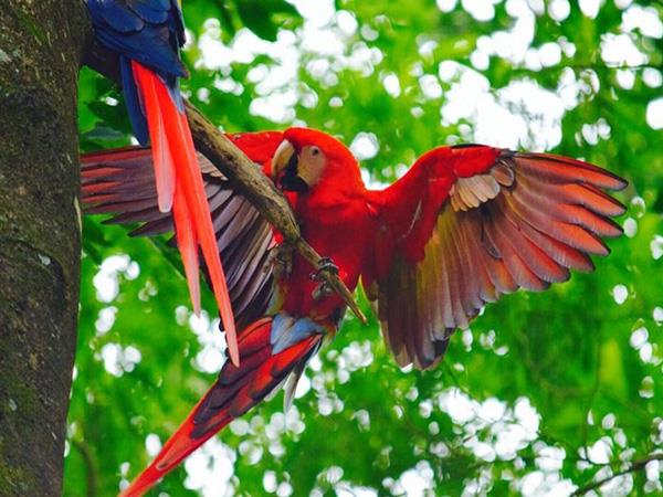 Honduras tailor made vacation