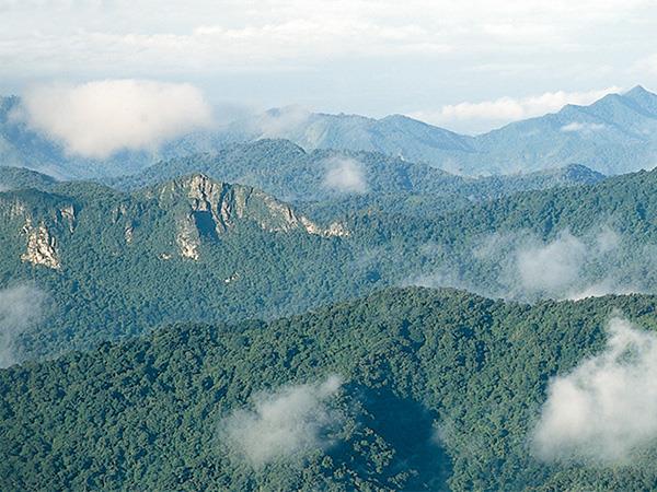 Honduras tailor made vacation