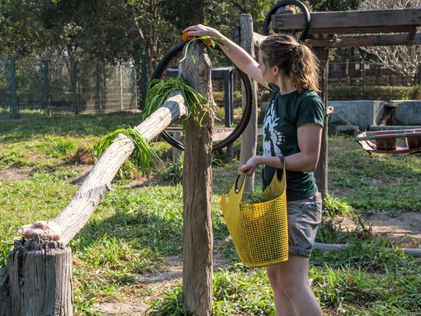 Laos Wildlife sanctuary volunteering vacation