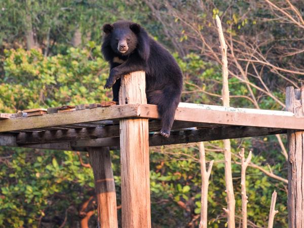 Laos Wildlife sanctuary volunteering vacation