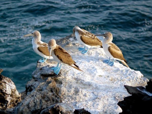 Galapagos adventure vacation