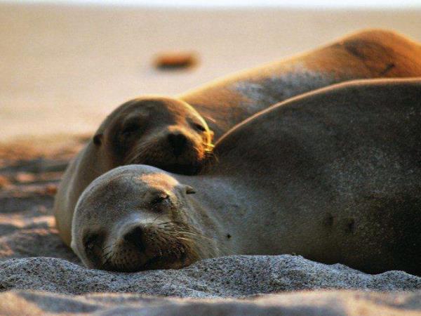 Galapagos adventure vacation