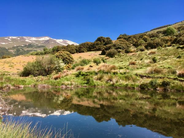 Alpujarra wildlife walking vacation