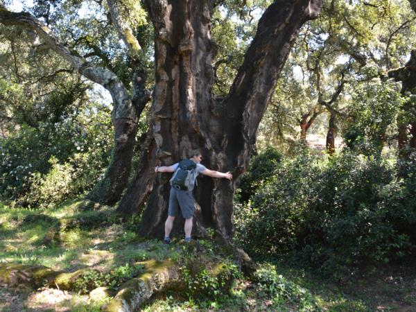 Southern Spain self guided walking tour