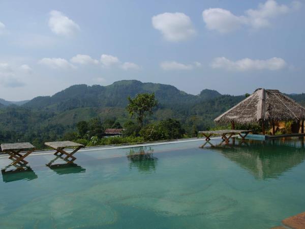 Sri Lanka wildlife and culture tour