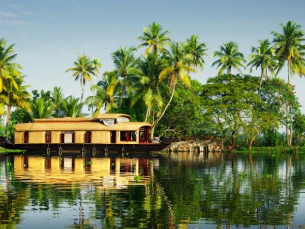 Tiger and Kerala beaches tour in India