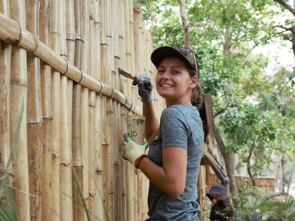 Volunteering with bears in Cambodia