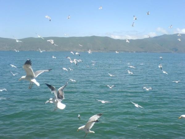 Armenia vacation, private departure