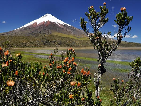 Ecuador self-drive vacation