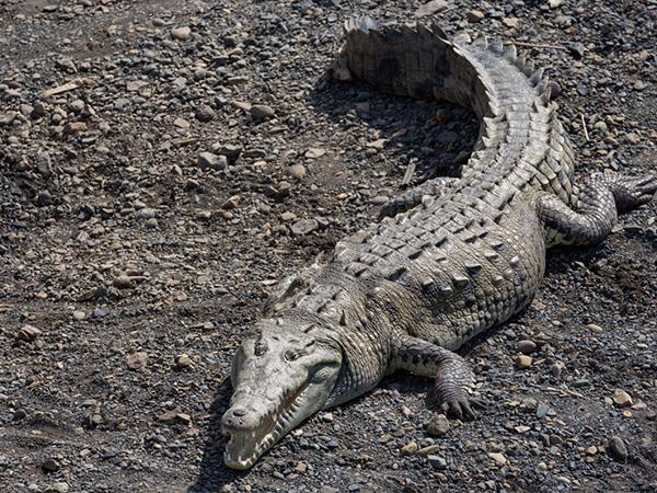 Off the beaten track Costa Rica private tour