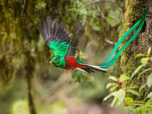 Off the beaten track Costa Rica private tour