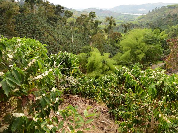Colombia self drive vacation