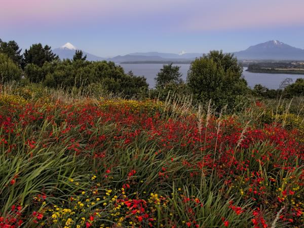 Santiago, Atacama Desert & Lake District in Patagonia