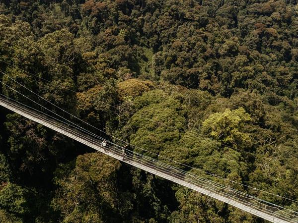 Rwanda vacation, gorillas and wildlife adventure
