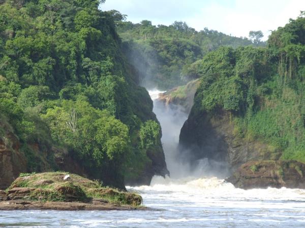 Rwanda vacation, gorillas and wildlife adventure