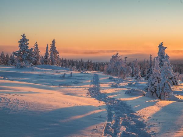 Family winter adventure in Finland