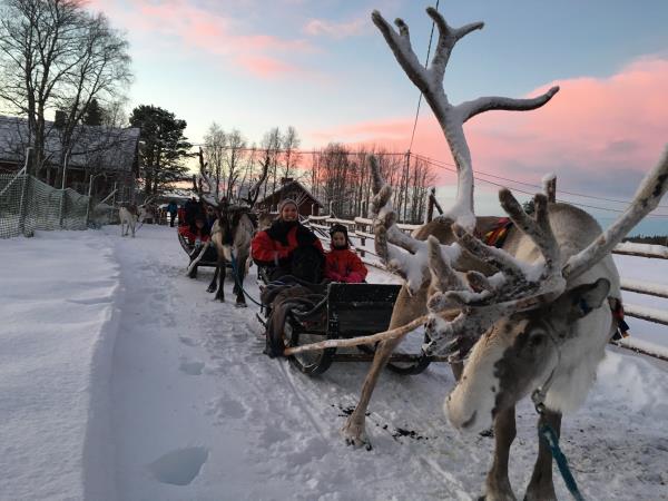 Family winter adventure in Finland