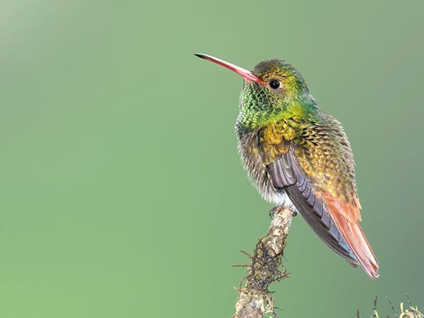 Ecuador self-drive holiday, tailor made